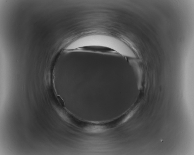 X0000084050205200703092059