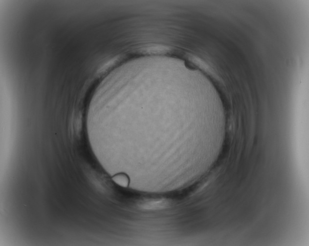 X0000084050206200703092059