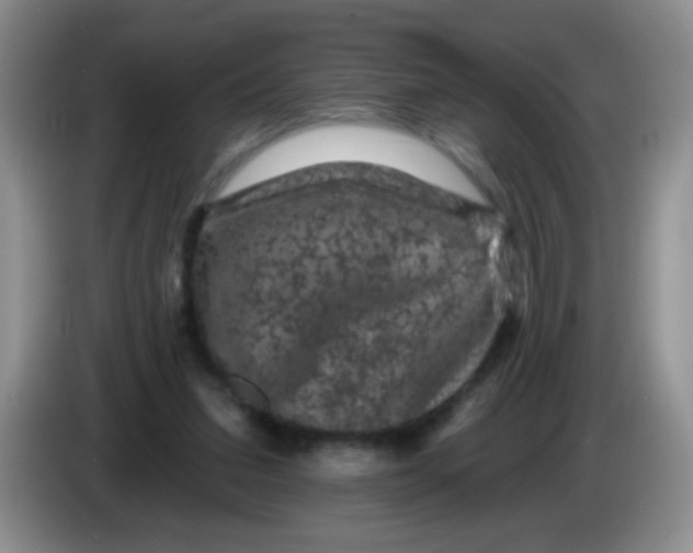 X0000084050207200703092059