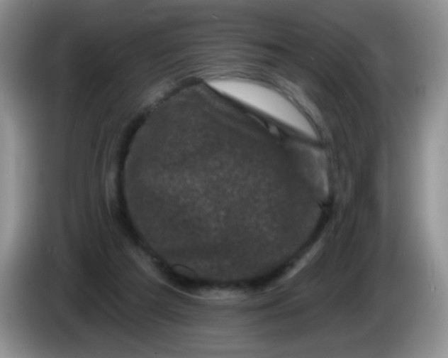 X0000084050209200703092059