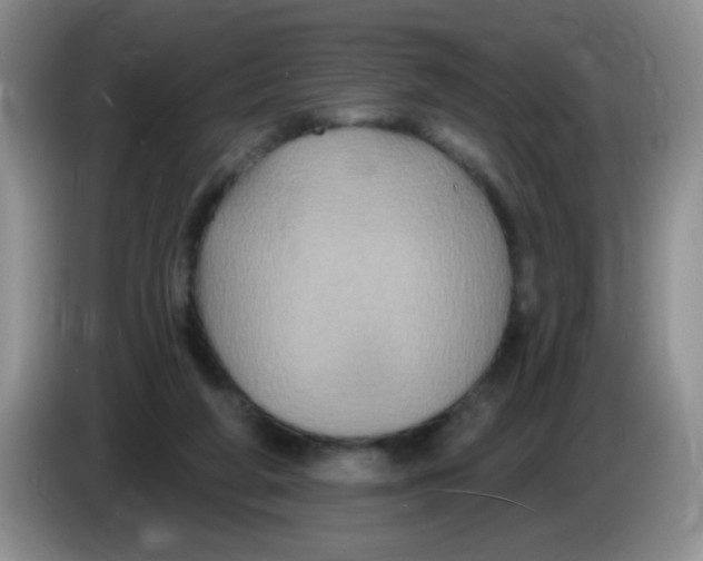 X0000084050210200703092059