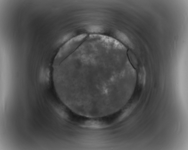 X0000084050211200703092059