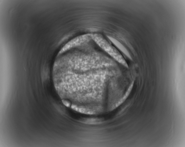 X0000084050212200703092059