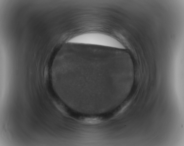 X0000084050213200703092059