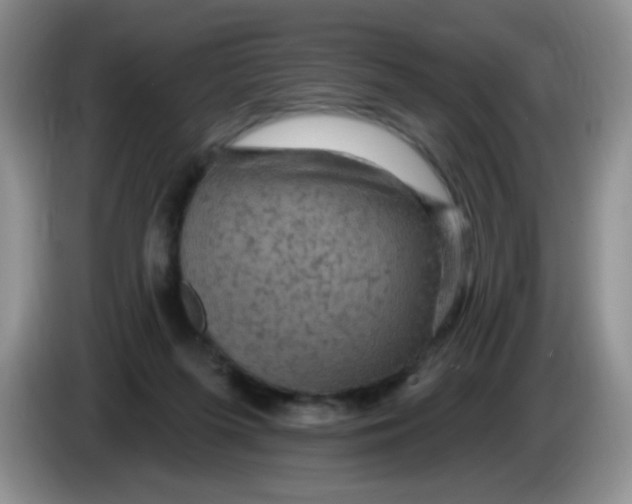 X0000084050215200703092059