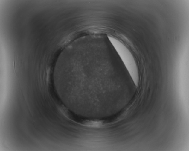 X0000084050217200703092059