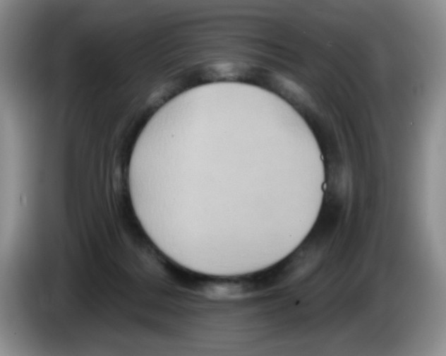 X0000084050220200703092059