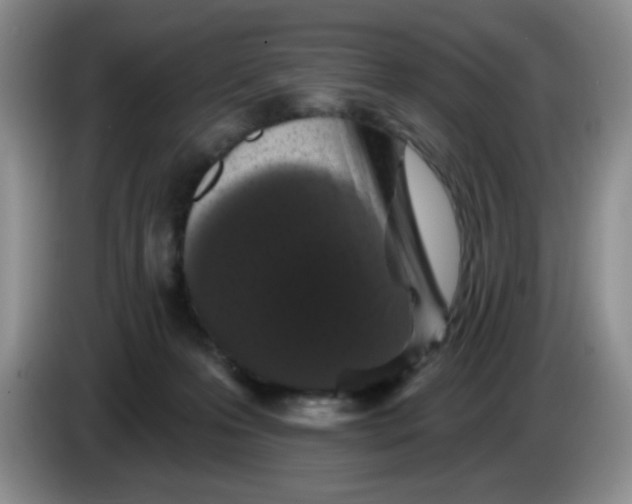 X0000084050223200703092059