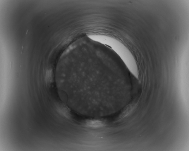 X0000084050224200703092059