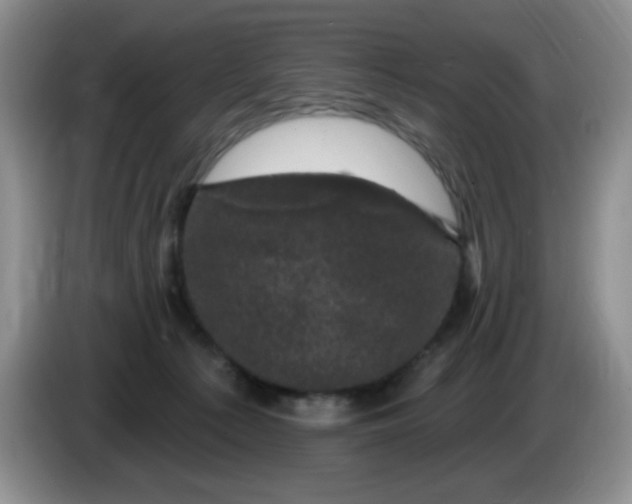 X0000084050225200703092059