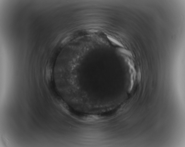 X0000084050227200703092059