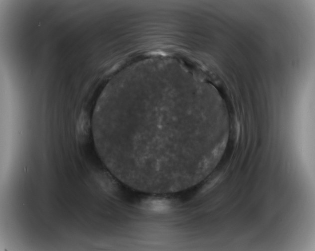 X0000084050228200703092059