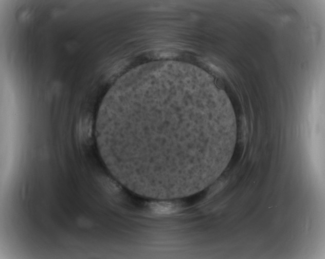 X0000084050230200703092059