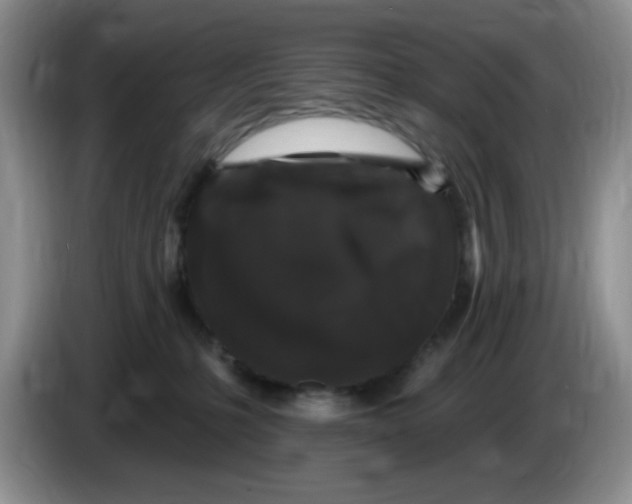 X0000084050231200703092059