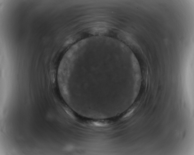 X0000084050232200703092059