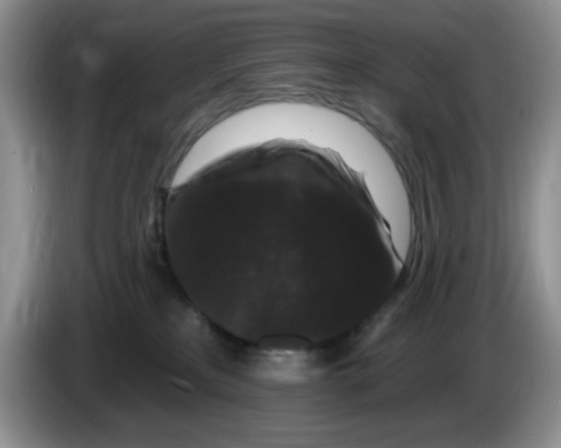 X0000084050233200703092059