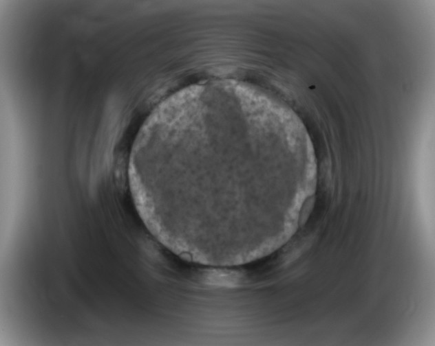 X0000084050234200703092059