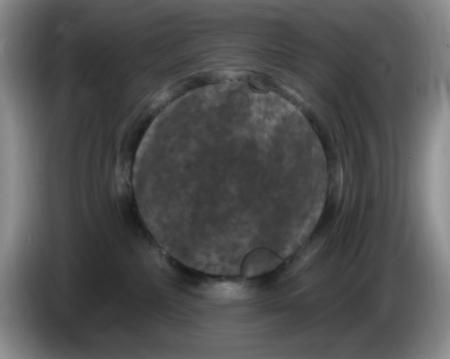 X0000084050236200703092059