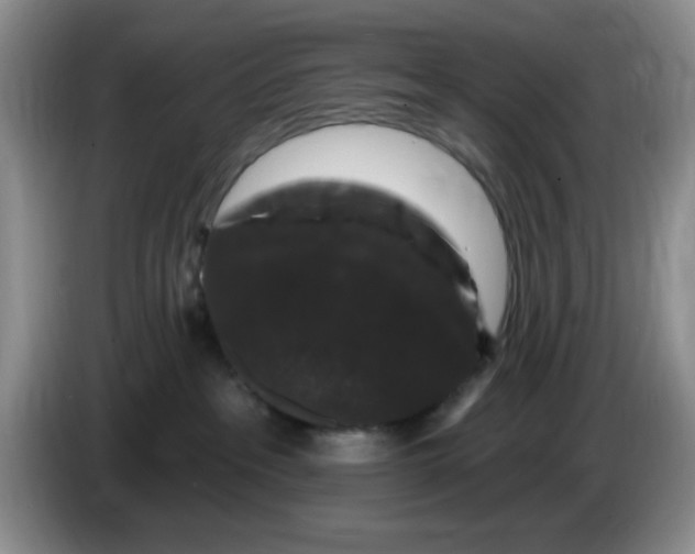 X0000084050237200703092059