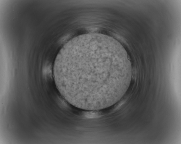 X0000084050238200703092059