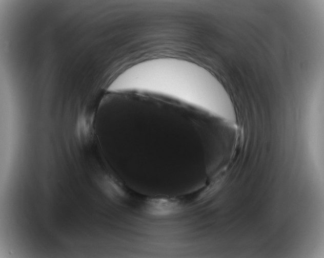 X0000084050239200703092059