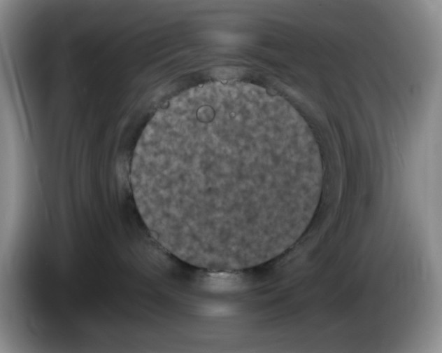 X0000084050240200703092059