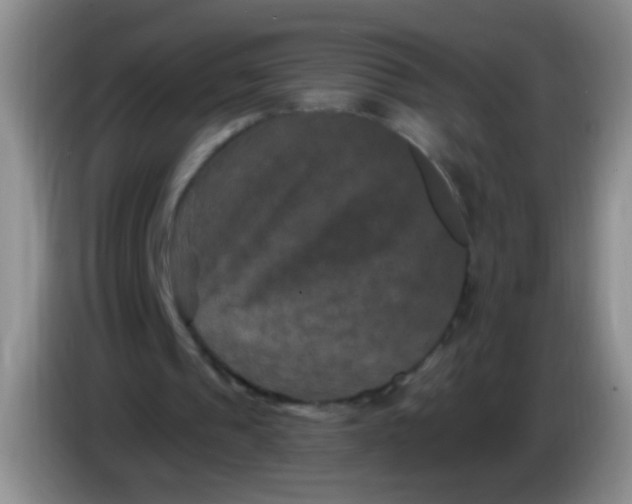 X0000084050241200703092058