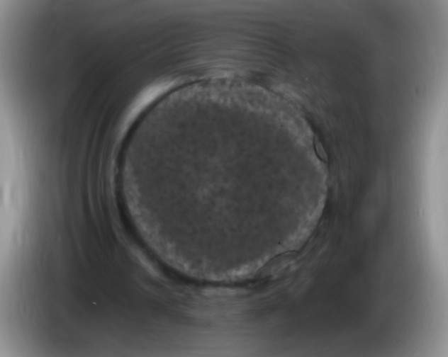 X0000084050242200703092058