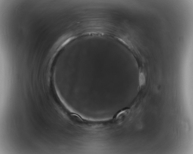 X0000084050243200703092058