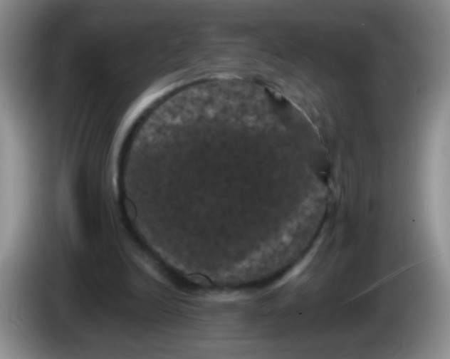 X0000084050246200703092058