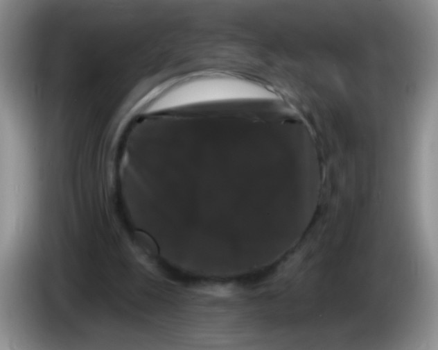 X0000084050247200703092058