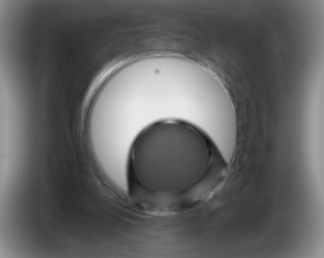 X0000084050248200703092058