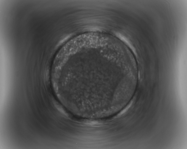 X0000084050249200703092058