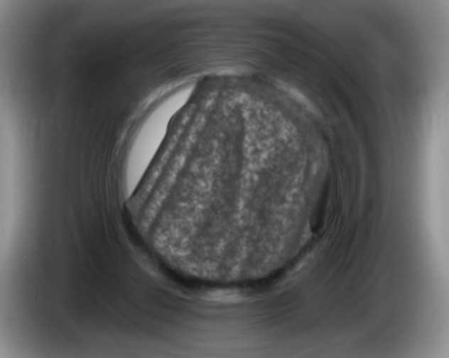 X0000084050252200703092058