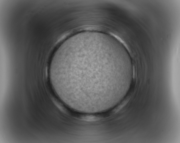 X0000084050253200703092058