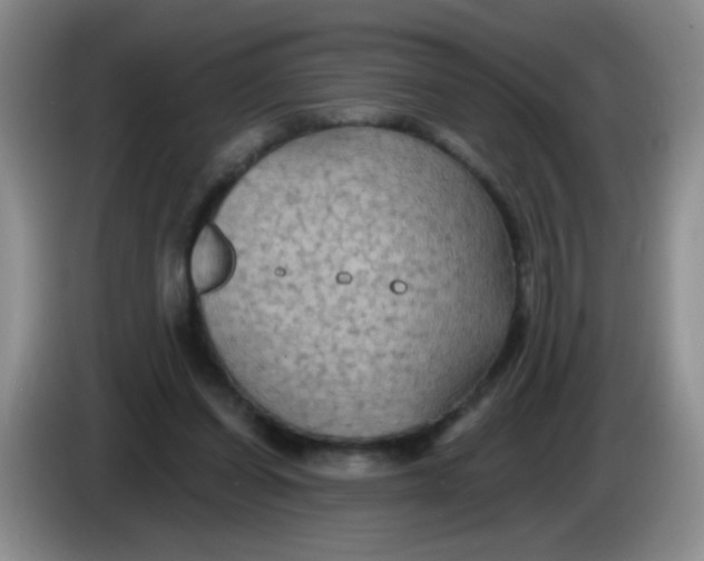 X0000084050254200703092058