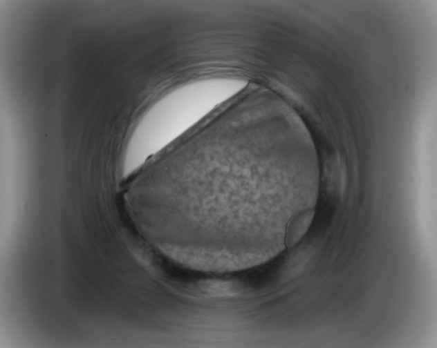 X0000084050255200703092058