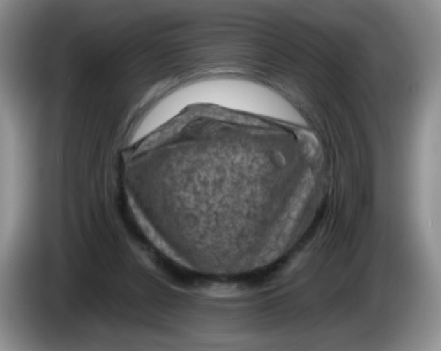 X0000084050256200703092058