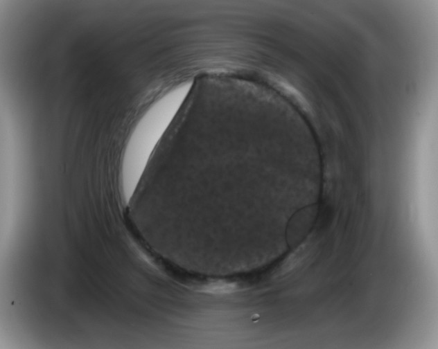 X0000084050257200703092058