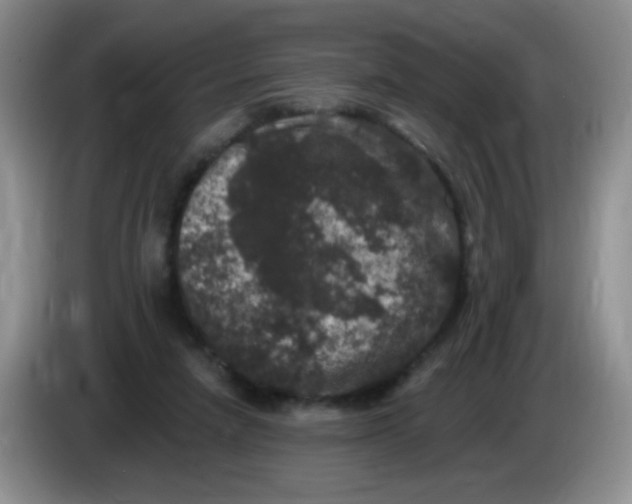 X0000084050258200703092058