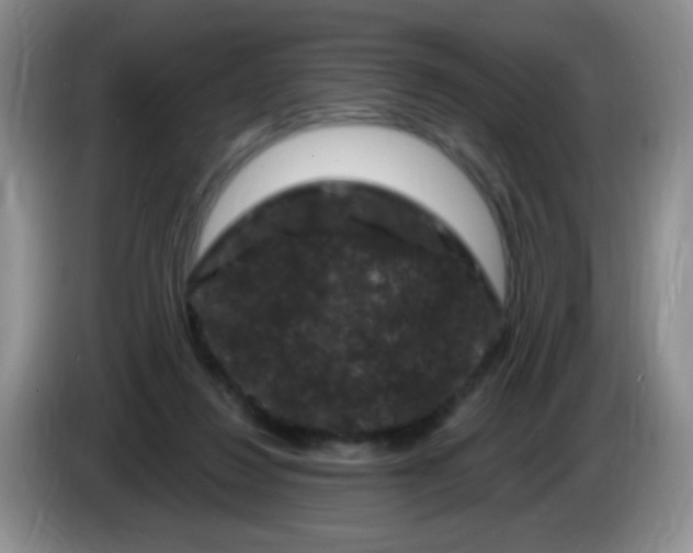 X0000084050260200703092058