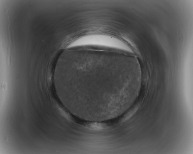 X0000084050261200703092058