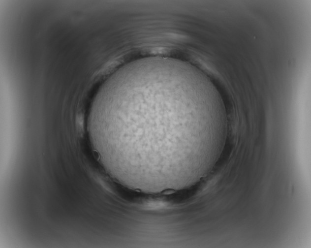 X0000084050262200703092058