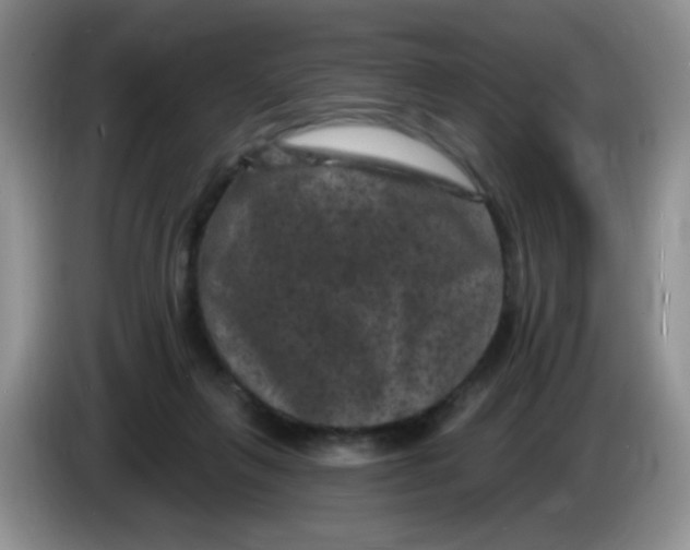 X0000084050263200703092058