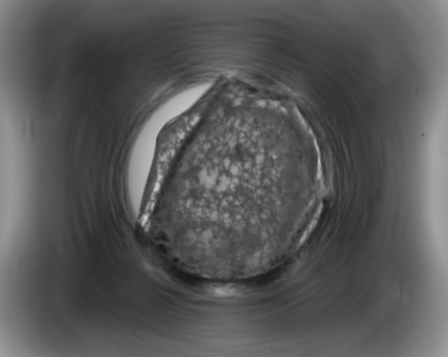 X0000084050264200703092058