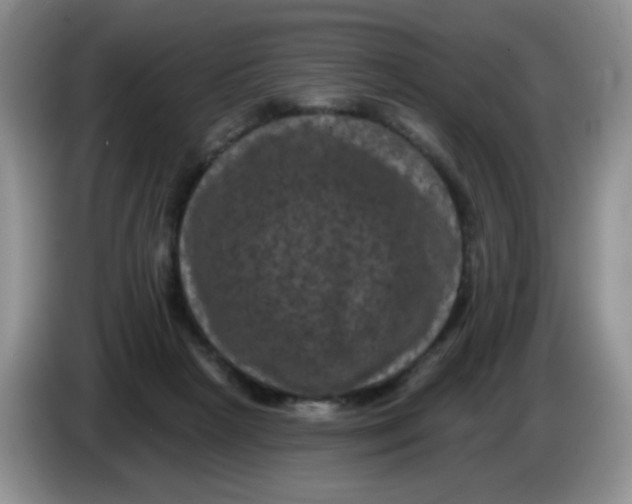 X0000084050265200703092058