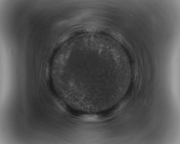 X0000084050266200703092058