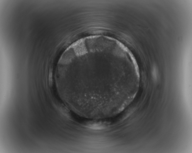 X0000084050267200703092058