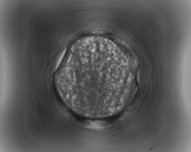 X0000084050268200703092058