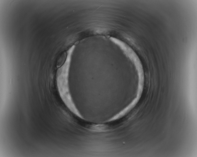 X0000084050269200703092058